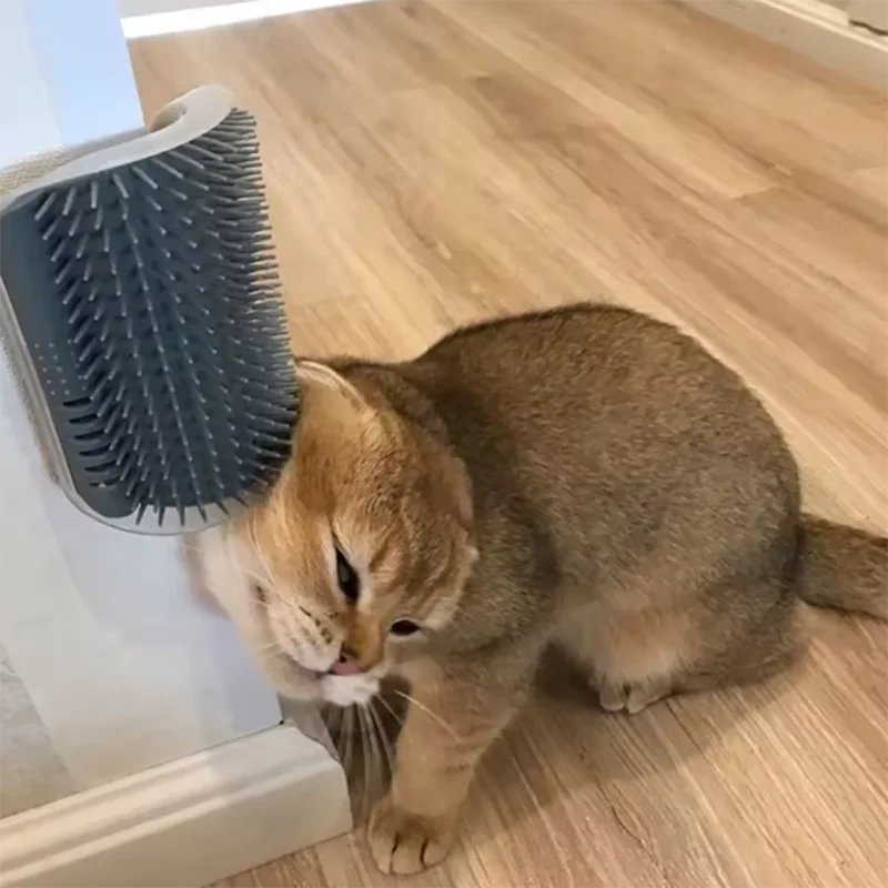 Rascador Masajeador de Esquina para Gatos – Cepillo y Peine de Masaje